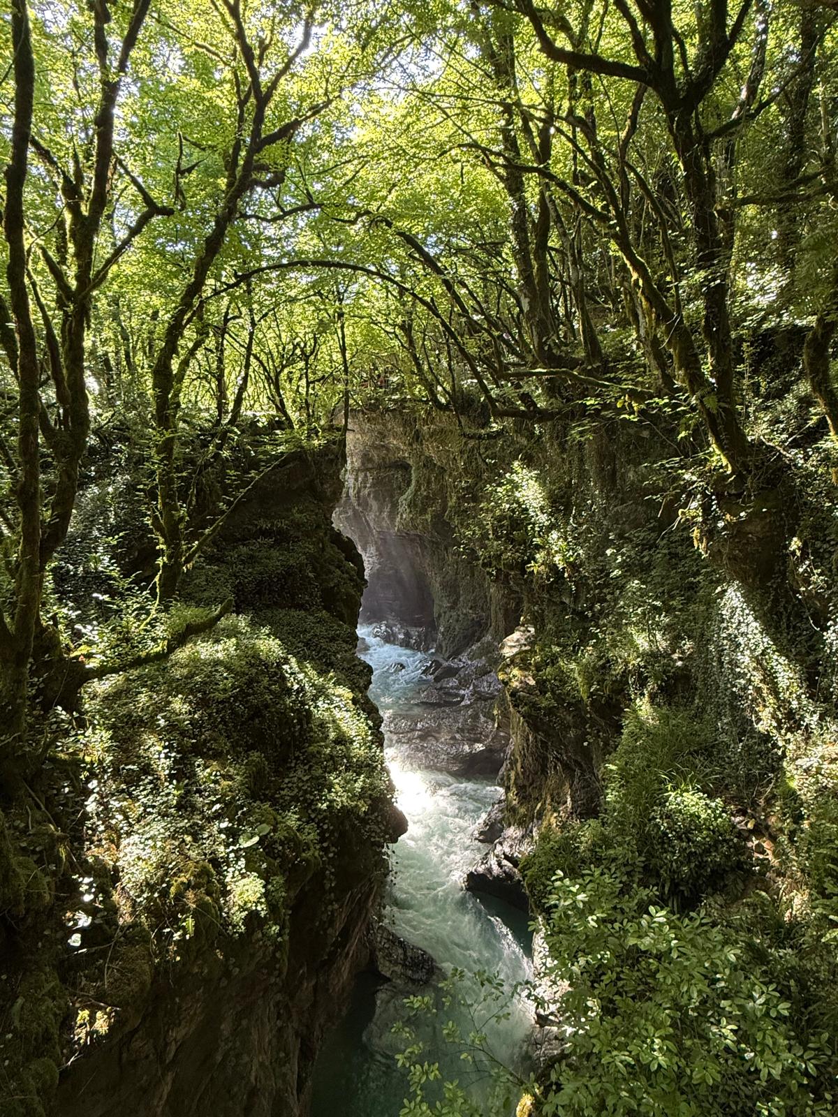 Mestia - Kutaisi